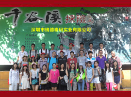 ���̩��ף�I(y��)��(n��i)������ʿ�R���ɹ����R�����X,��(li��n)�W(w��ng)����W(w��ng)